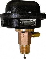 McDonnell & Miller - 300 psi, Brass Housing, Adjustable Paddle Flow Switch - 7.7 Flow Set Point, 35,004 Flow Point cc/min, 4.8 to 998 GPM, 120/240 Voltage, 1-1/4 Inch Thread Size - Best Tool & Supply