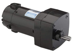 Leeson - 1/15 Max hp, 9 Max RPM, Electric AC DC Motor - 115 V Input, Single Phase, 31 Frame - Best Tool & Supply