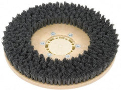 Clarke - 26" Diam Scrubbing Brush - 26" Machine, Black Pad, Polypropylene - Best Tool & Supply