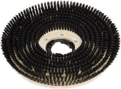 Clarke - 20" Diam Scrubbing Brush - 20" Machine, Black Pad, Polypropylene - Best Tool & Supply