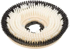 Clarke - 17" Diam Carpet Brush - 17" Machine, Black Pad, Nylon - Best Tool & Supply