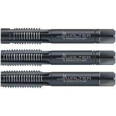 Walter-Prototyp - M2.5x0.45 Metric, 3 Flute, Modified Bottoming & Plug, Oxide Finish, Cobalt Tap Set - Right Hand Cut, 40mm OAL, 0.3543" Thread Length, 6HX Class of Fit, Series 30063 - Best Tool & Supply