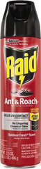 Raid - Pack of (12) 17.5-oz Aerosol Cans Ant, Roach, Silverfish, Spider & Waterbug Killer - Best Tool & Supply