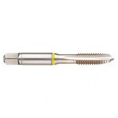 M2x0.40 6H 3-Flute Cobalt Yellow Ring Spiral Point Plug Tap-Bright - Best Tool & Supply