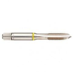 42377 2B 4-Flute Cobalt Yellow Ring Spiral Point Plug Tap-Bright - Best Tool & Supply