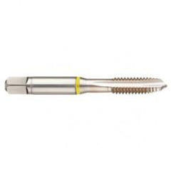 40241 2B 4-Flute Cobalt Yellow Ring Spiral Point Plug Tap-Bright - Best Tool & Supply