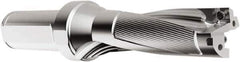 Seco - 57mm Max Drill Depth, 3xD, 19mm Diam, Indexable Insert Drill - 2 Inserts, 20mm Shank Diam, Straight Shank - Best Tool & Supply