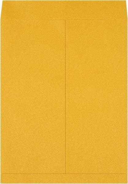 Made in USA - 22" Long x 17" Wide Regular Jumbo Envelope - Kraft - Best Tool & Supply