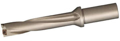 Sumitomo - 3.868" Max Drill Depth, 5xD, 3/4" Diam, Indexable Insert Drill - 2 Inserts, 1" Shank Diam, Straight Shank - Best Tool & Supply