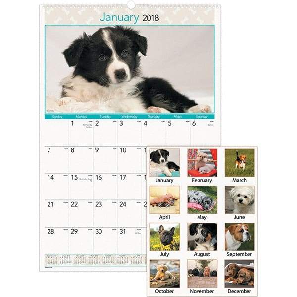 AT-A-GLANCE - 12 Sheet, 15-1/2 x 22-3/4", Wall Calendar - Puppies - Best Tool & Supply