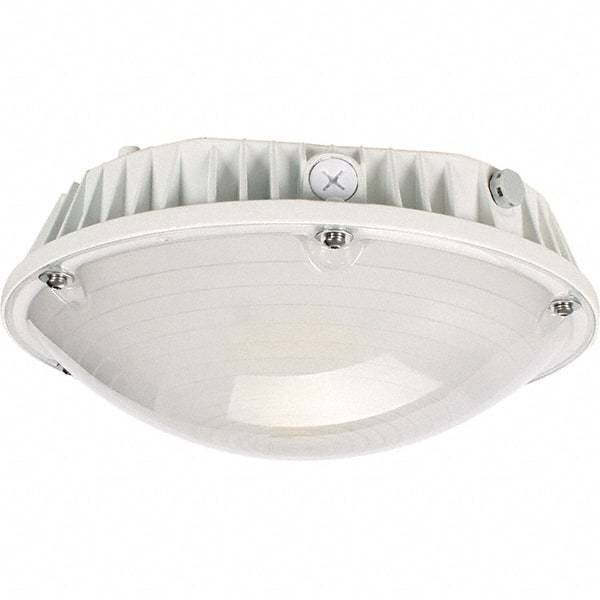 Eiko Global - 60 Watt LED Entry Light - Frosted Polycarbonate Lens, Mogul Base, Pendant & Surface Mount, 120 to 277 Volts, IP65 Ingress Protection, 290mm Long x 114mm High - Best Tool & Supply