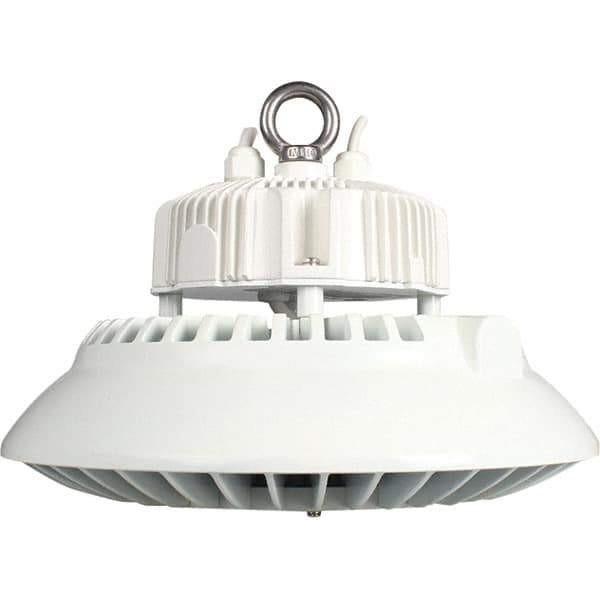 Eiko Global - 1 Lamp, 100 Watts, LED, High Bay Fixture - 11.81" Wide, 120-277 Volt, Steel Housing - Best Tool & Supply