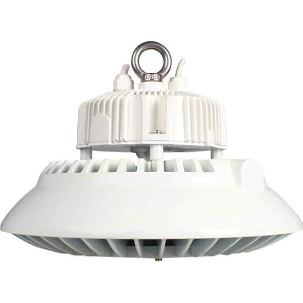 Eiko Global - 1 Lamp, 200 Watts, LED, High Bay Fixture - 250mm High x 11.81" Wide, 120-277 Volt, Steel Housing - Best Tool & Supply