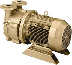 DEKKER Vacuum Technologies - 29 Hg Max, 2-1/2" ANSI 150# RF Flanged Inlet & Discharge, Single Stage Liquid Ring Vaccum Pump - 150 CFM, 10 hp, Cast Iron Housing, 316 Stainless Steel Impeller, 1,750 RPM, 230/460 Volts - Best Tool & Supply