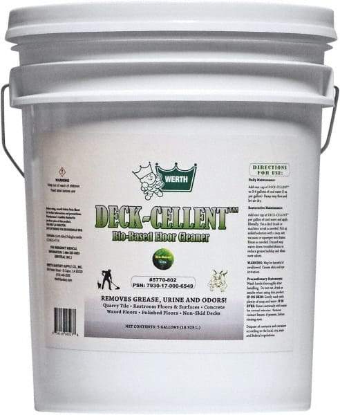 Werth Sanitary Supply - 5 Gal Pail Floor Cleaner - Use on Quarry Tile, Rest Rooms - Best Tool & Supply