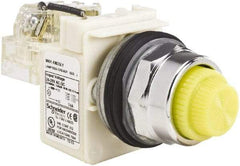 Schneider Electric - 120 VAC Yellow Lens LED Pilot Light - Round Lens, Screw Clamp Connector - Best Tool & Supply