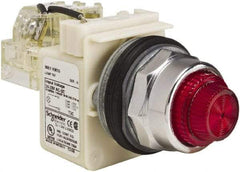 Schneider Electric - 24-28 VAC/VDC Red Lens Indicating Light - Screw Clamp Connector - Best Tool & Supply