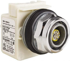 Schneider Electric - 120 V LED Indicating Light - Screw Clamp Connector - Best Tool & Supply