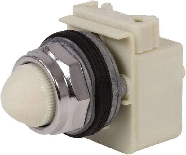 Schneider Electric - 120 VAC White Lens Indicating Light - Screw Clamp Connector - Best Tool & Supply