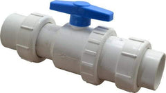 Little Giant Pumps - 2" PVC Check Valve - Inline, Union - Best Tool & Supply