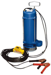 Warren Rupp - 1/3 hp, 12 VDC Amp Rating, 12 VDC Volts, Nonautomatic Operation, Dewatering Pump - Aluminum Housing - Best Tool & Supply