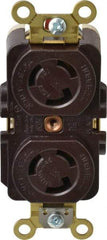 Hubbell Wiring Device-Kellems - 125 VAC, 15 Amp, L5-15R NEMA, Self Grounding Receptacle - 2 Poles, 3 Wire, Female End, Brown - Best Tool & Supply