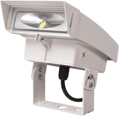 Cooper Lighting - Aluminum, Trunnion Mount Floodlight Kit - For Use with Crosstour LED Wall Pack Luminaire - Best Tool & Supply