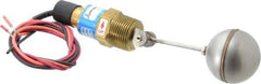 Thomas Products Ltd. - 1" Thread, 900 Max psi, 300°F Max, Liquid Level Side Mounted Float Switches - Brass Stem - Best Tool & Supply