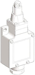 Telemecanique Sensors - DP, NC/NO, 240 VAC, Screw Terminal, Roller Plunger Actuator, General Purpose Limit Switch - IP66 IPR Rating - Best Tool & Supply