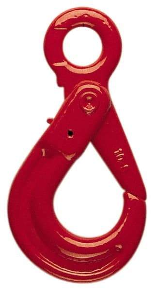 Pewag - 12,000 Lb Capacity, Chain Grade 80, Alloy Steel Eye Hook - 7-9/16" Reach, 1-49/64" Eye ID, 1/2" Chain Diam, Dacromet - Best Tool & Supply