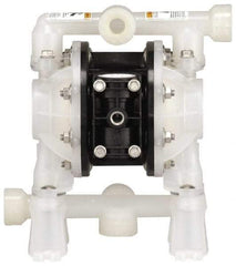 ARO/Ingersoll-Rand - 1/2" NPT, Nonmetallic, Air Operated Diaphragm Pump - PTFE Diaphragm, Kynar Housing - Best Tool & Supply