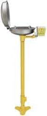 Bradley - Pedestal Mount, Stainless Steel Bowl, Eyewash Station - 1/2" Inlet, 30 psi Flow, 0.4 GPM Flow Rate - Best Tool & Supply