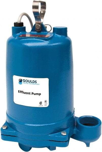 Goulds Pumps - 1 hp, 575 Amp Rating, 575 Volts, Single Speed Continuous Duty Operation, Effluent Pump - 3 Phase, Cast Iron Housing - Best Tool & Supply