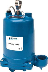 Goulds Pumps - 1 hp, 575 Amp Rating, 575 Volts, Single Speed Continuous Duty Operation, Effluent Pump - 3 Phase, Cast Iron Housing - Best Tool & Supply