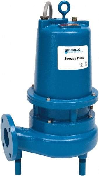 Goulds Pumps - 3 hp, 460 Amp Rating, 460 Volts, Single Speed Continuous Duty Operation, Sewage Pump - 3 Phase, Cast Iron Housing - Best Tool & Supply