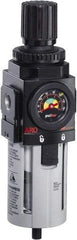 ARO/Ingersoll-Rand - 1/2" NPT Port Standard 1 Piece Filter/Regulator FRL Unit - Polycarbonate Bowl, 172 SCFM, 150 Max psi, 10.787" High x 2.756" Long, Automatic Drain - Best Tool & Supply