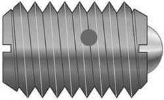 Vlier - M10x1.5, 6mm Ball Diam, 19mm Body Length, 2.01mm Max Ball Reach, Threaded Ball Plunger - Steel Body, Nylon Ball, 1.8 Lb Initial End Force, 3.37 Lb Final End Force - Best Tool & Supply