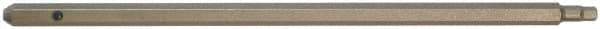 Paramount - 1/8" Hex Screwdriver Blade - 5mm Drive, 5-1/2" OAL - Best Tool & Supply