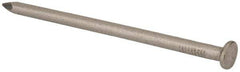 Made in USA - 20D, 6 Gauge, 4" OAL Common Nails - Smooth Shank, T304 Stainless Steel - Best Tool & Supply