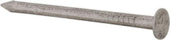 Made in USA - 3D, 14 Gauge, 1-1/4" OAL Common Nails - Smooth Shank, Aluminum - Best Tool & Supply