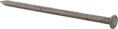 Value Collection - 20D, 6 Gauge, 4" OAL Common Nails - Ring Shank, Grade 2 Steel, Bright Finish - Best Tool & Supply