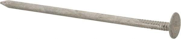 Value Collection - 11 Gauge, 3" OAL Roofing Nails - Ring Shank, Grade 2 Steel, Galvanized Finish - Best Tool & Supply