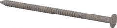 Value Collection - 10D, 10 Gauge, 3" OAL Decking Nails - Ring Shank, Grade 2 Steel, Galvanized Finish - Best Tool & Supply