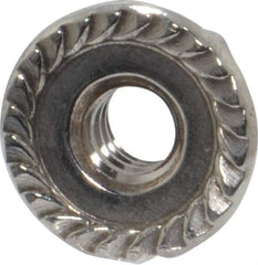 Value Collection - #10-24, 1/2" Flange Diam, Serrated Flange Nut - Grade 18-8 Stainless Steel, 7/32" Flange Height - Best Tool & Supply