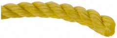 Value Collection - 600' Max Length Polypropylene Rope - 1/2" Diam, 472 Lb Capacity - Best Tool & Supply