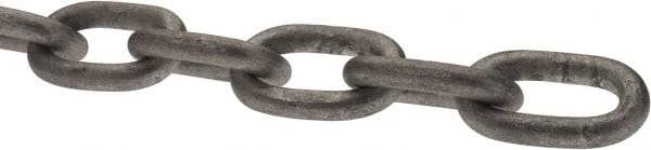 Peerless Chain - 3/16" Welded Proof Coil Chain - 800 Lb Capacity, Grade 30, Carbon Steel, Hot Galvanized Finish - Best Tool & Supply