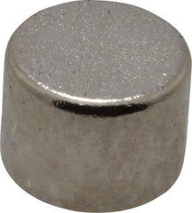 Mag-Mate - 1/4" Diam x 3/16" High Neodymium Rare Earth Magnet - 1.5 Lb Max Capacity, 200°F Max, Nickel Plated - Best Tool & Supply