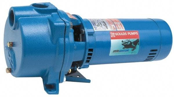 Goulds Pumps - 115/230 Volt, 16.2/8.1 Amp, 1 Phase, 1 HP, Self Priming Centrifugal Pump - 48J Frame, 1-1/2 Inch Inlet, 60 Max GPM, ODP Motor, Cast Iron Housing, Noryl Impeller, 118 Ft. Shut Off, Carbon Ceramic Mechanical Seal - Best Tool & Supply