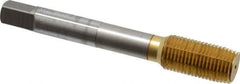 OSG - 1/2-20 UNF H5 Thread Limit Plug Thread Forming Tap - Cobalt, TiN Finish, 3-3/8" OAL, 1-21/32" Thread Length, Right Hand Thread, Series HY-PRO NRT - Best Tool & Supply