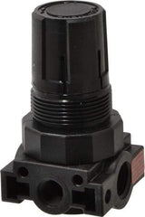 Parker - 1/4 NPT Port, Plastic Miniature Regulator - 0 to 60 psi Range, 150 Max psi Supply Pressure, 1/8" Gauge Port Thread, 1.6" Wide x 3.1" High - Best Tool & Supply